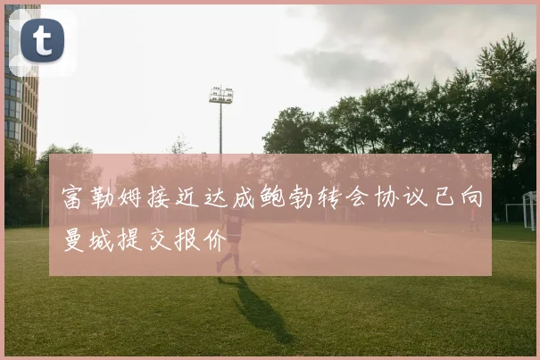 富勒姆接近达成鲍勃转会协议已向曼城提交报价